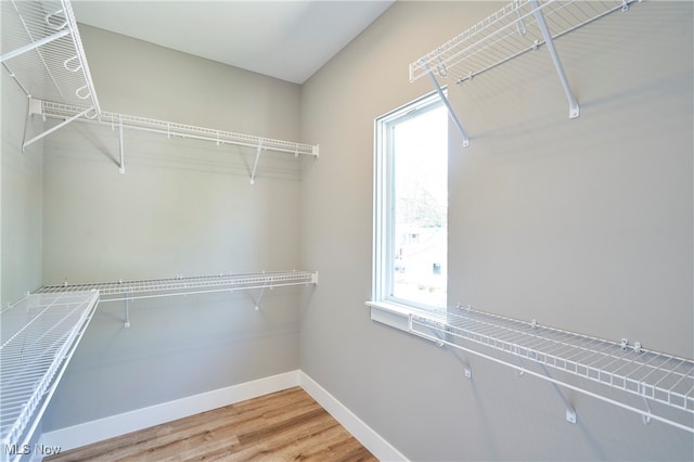 walk in closet with wood-type flooring