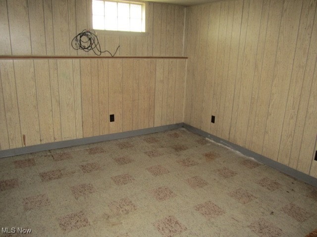 basement with wooden walls