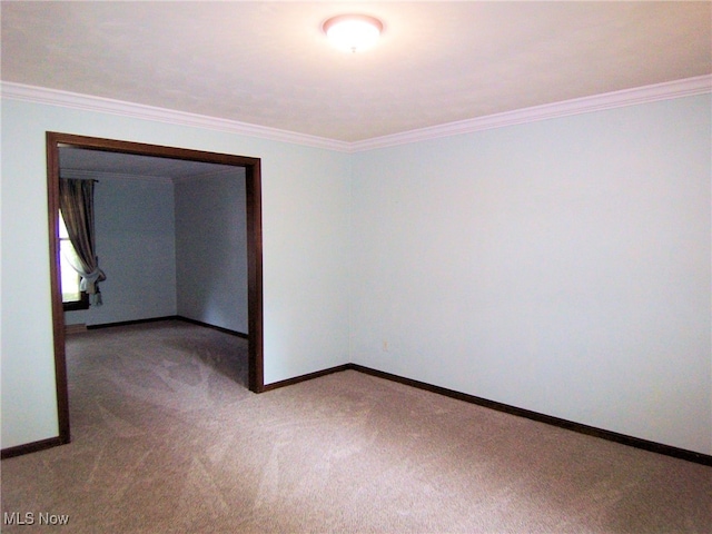 spare room featuring ornamental molding and carpet flooring