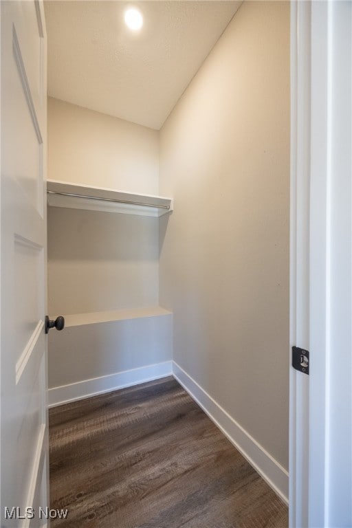 spacious closet featuring dark wood-type flooring