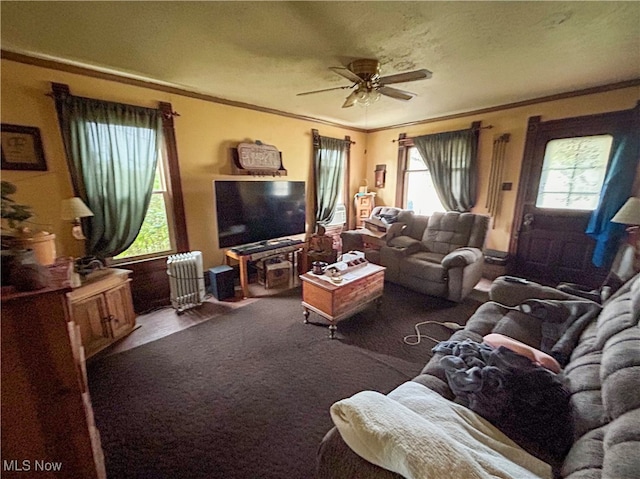 living room with ceiling fan, carpet flooring, ornamental molding, radiator heating unit, and a textured ceiling