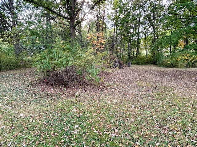 3297 State Route 534, Southington, OH 44470 - photo 33