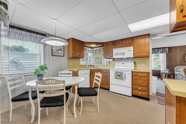 kitchen with a paneled ceiling, wooden walls, sink, and white appliances