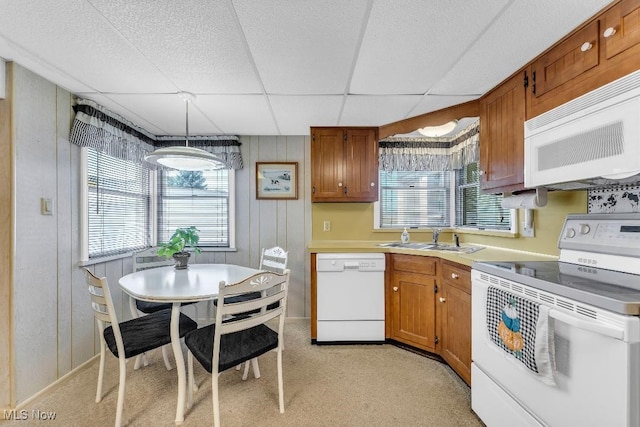 kitchen with sink, a drop ceiling, pendant lighting, white appliances, and light carpet