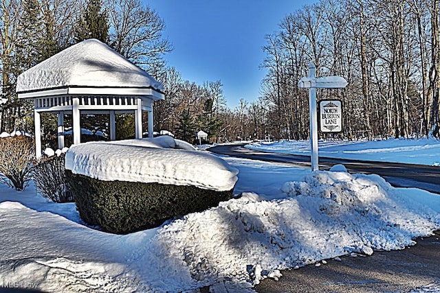 view of snowy yard