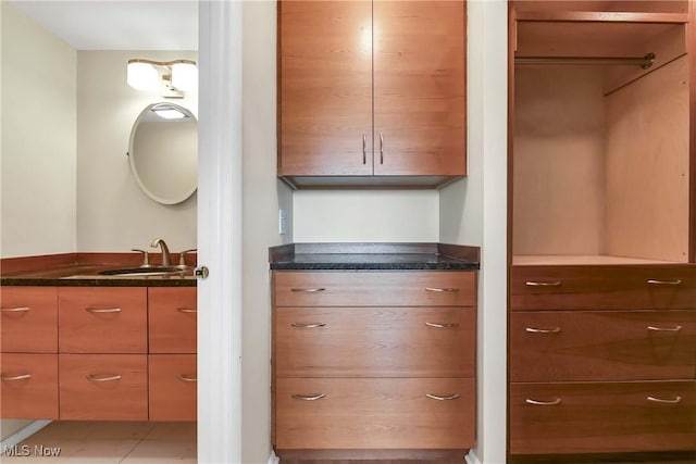 closet featuring a sink