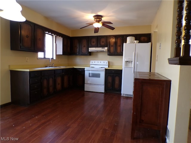 kitchen with dark hardwood / wood-style flooring, sink, ceiling fan, dark brown cabinets, and white appliances