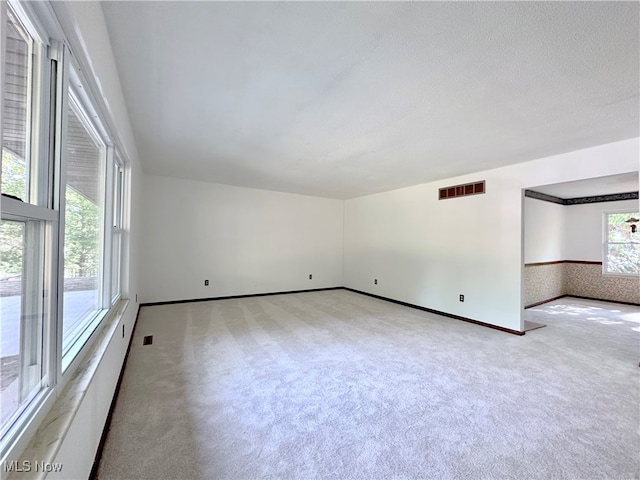 spare room with light carpet and a textured ceiling