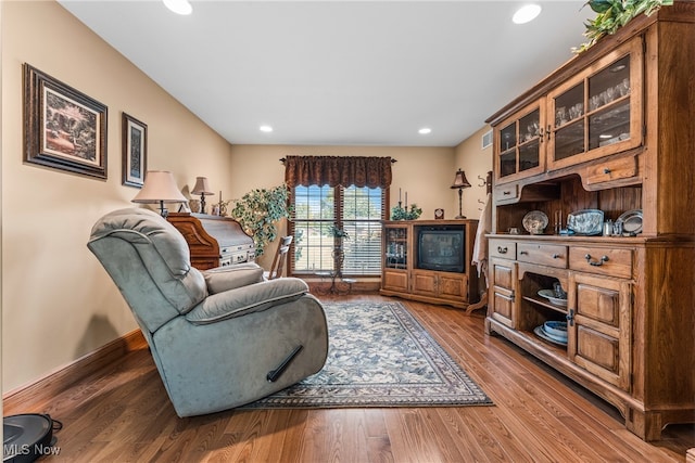 living room featuring dark wood-type flooring