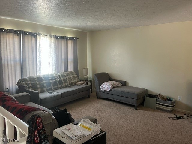 carpeted living room with a textured ceiling