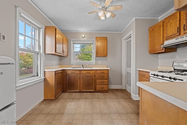 kitchen featuring ceiling fan, white appliances, and a healthy amount of sunlight