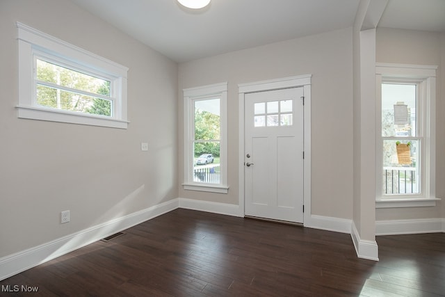 entrance foyer with dark wood-type flooring