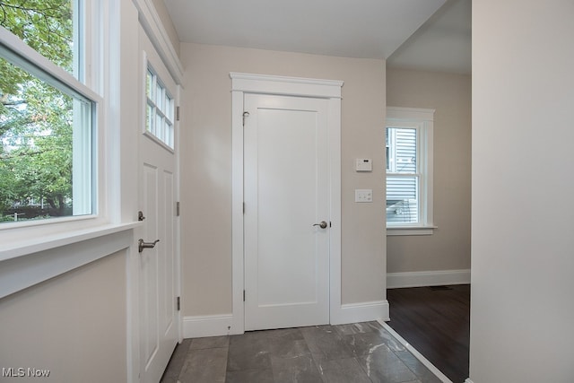 foyer entrance with plenty of natural light and dark wood-type flooring