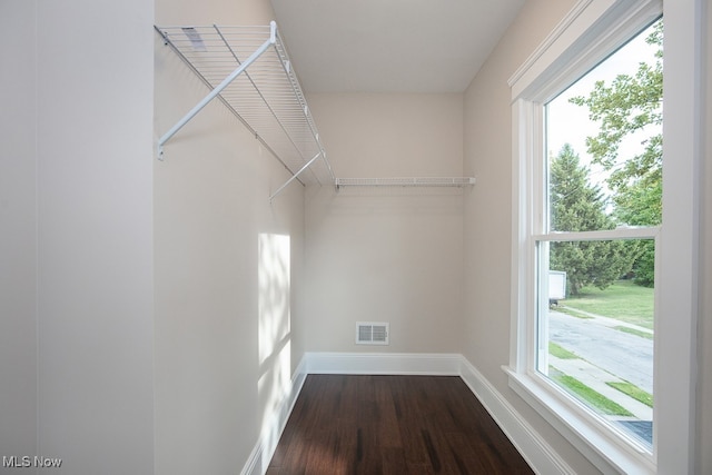 walk in closet featuring wood-type flooring