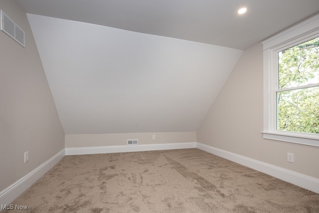 additional living space with carpet and vaulted ceiling