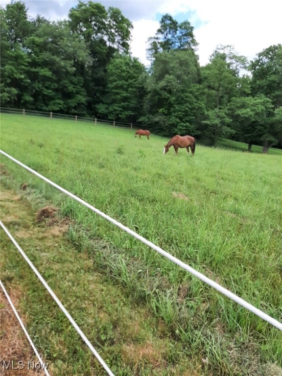 view of yard with a rural view