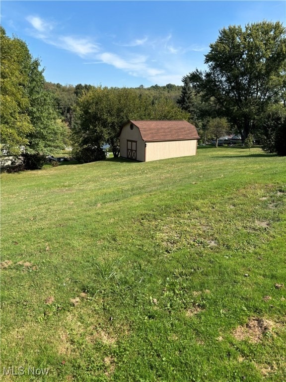 view of yard with a storage shed