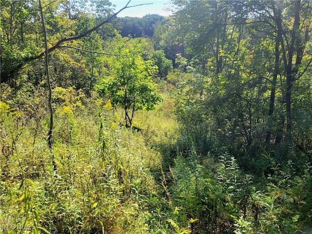 N St, Chagrin Falls, OH 44022 - photo 2