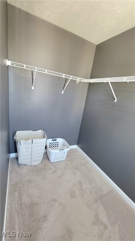 walk in closet featuring carpet flooring