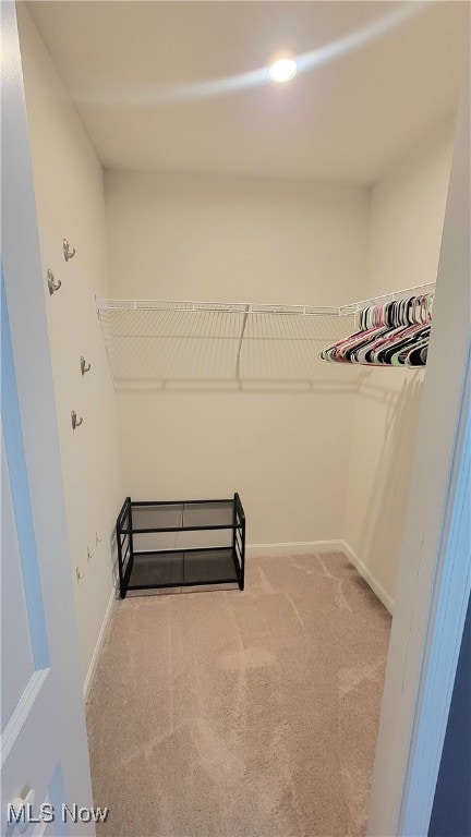 walk in closet featuring light colored carpet