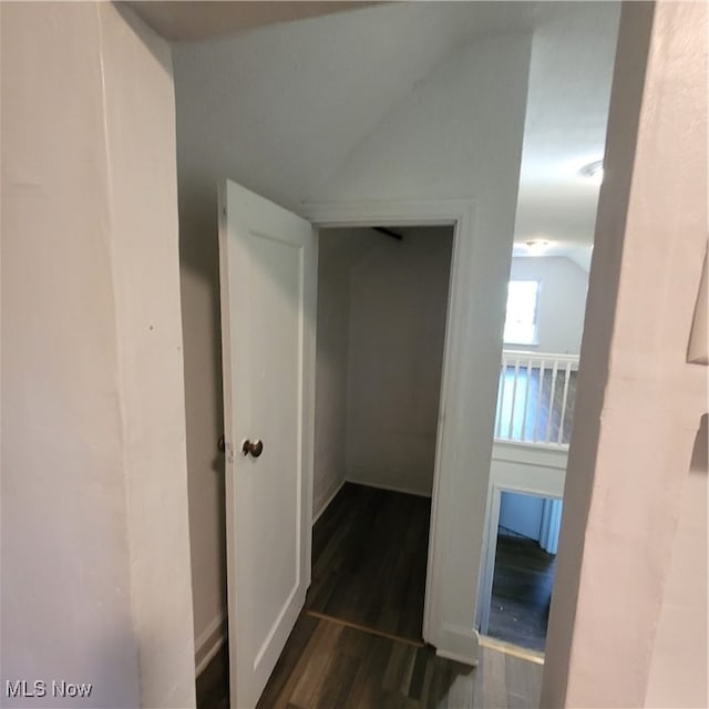 hall featuring dark hardwood / wood-style floors