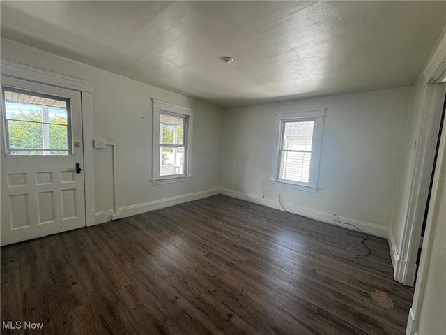 entryway featuring dark wood-type flooring and a healthy amount of sunlight