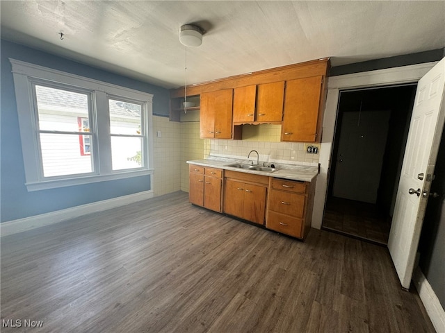 kitchen featuring backsplash, dark hardwood / wood-style floors, and sink