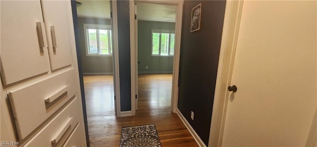 corridor featuring dark hardwood / wood-style flooring