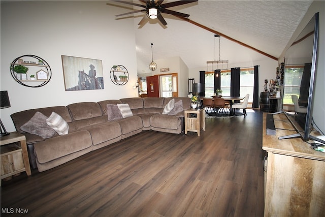 living room featuring high vaulted ceiling, ceiling fan, dark wood-type flooring, and a textured ceiling