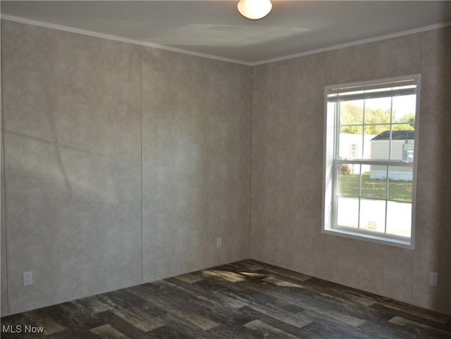 spare room featuring crown molding and dark wood-type flooring