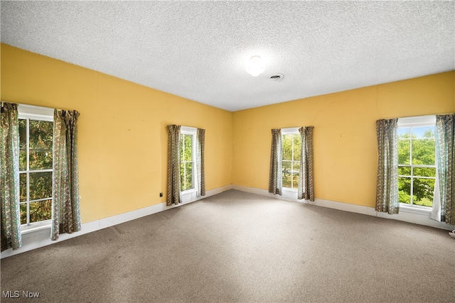 empty room featuring carpet floors and a textured ceiling