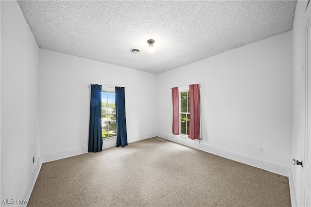 empty room with a textured ceiling, carpet floors, and plenty of natural light