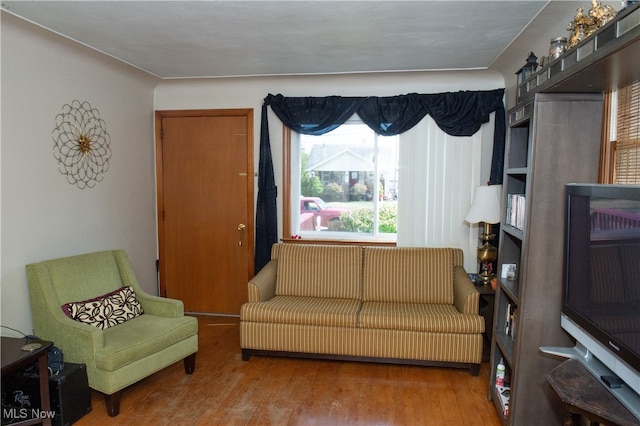 living room featuring wood-type flooring