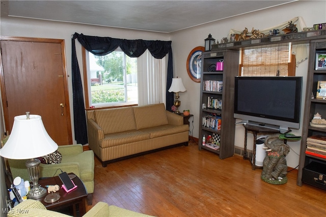 living room with wood-type flooring