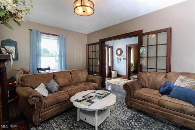 living room featuring dark hardwood / wood-style flooring and french doors