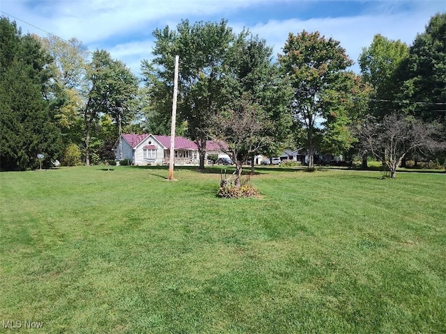 view of yard