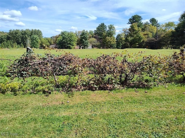 view of yard with a rural view