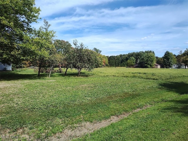 view of yard with a rural view