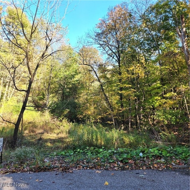 Blueberry Hill Dr, Canfield OH, 44406 land for sale