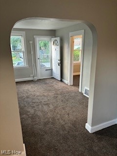 carpeted empty room with a wealth of natural light