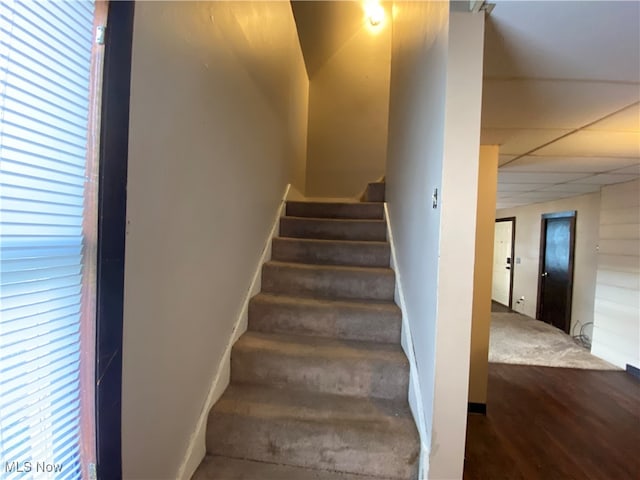 stairway featuring hardwood / wood-style floors and a wealth of natural light