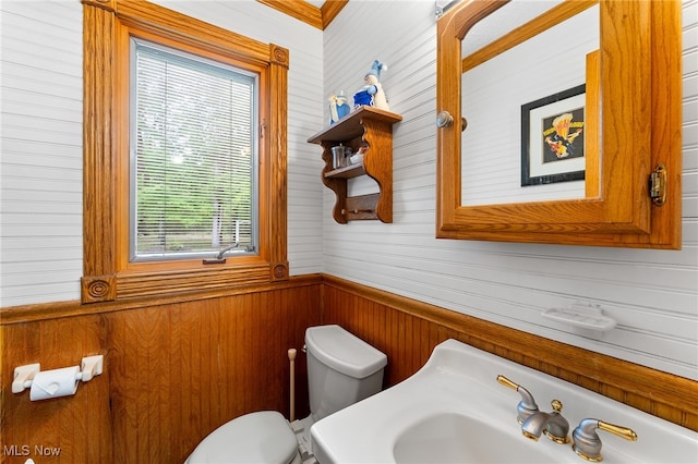 bathroom featuring wood walls, plenty of natural light, toilet, and sink