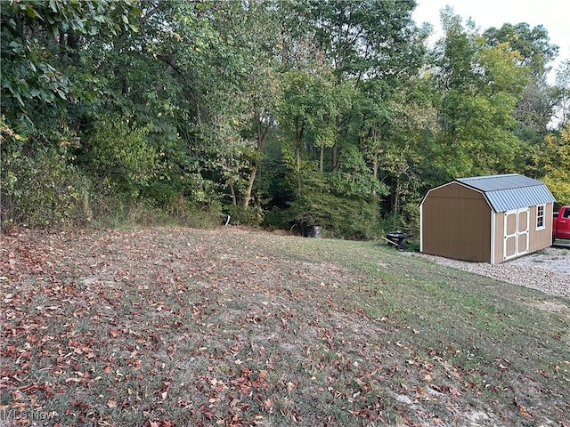 view of yard featuring a storage shed