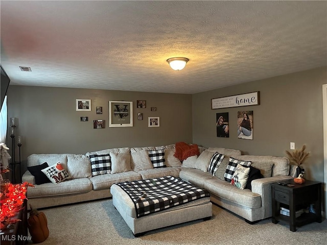 living room featuring carpet flooring and a textured ceiling