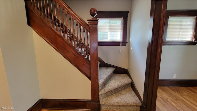 stairway with hardwood / wood-style floors