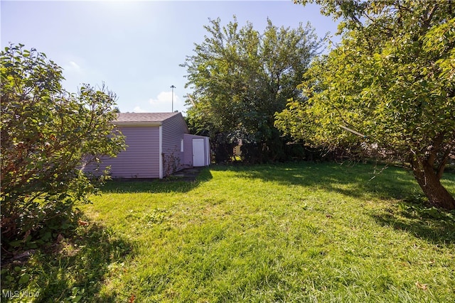 view of yard with a storage shed