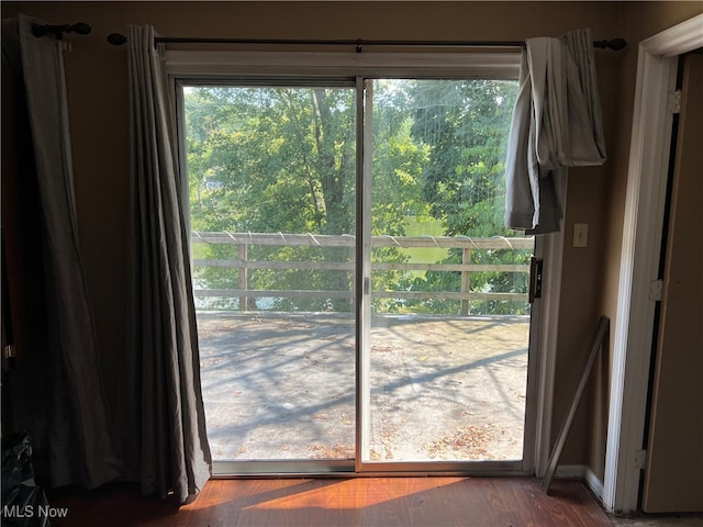 entryway featuring hardwood / wood-style floors