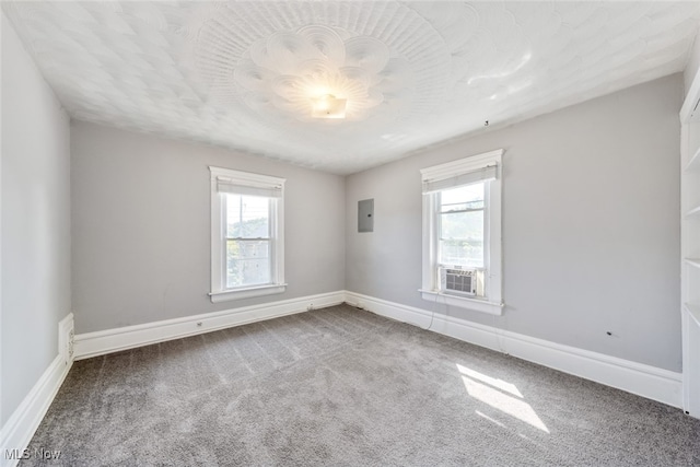 carpeted spare room featuring electric panel