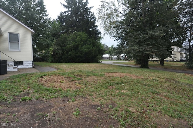 view of yard with a patio