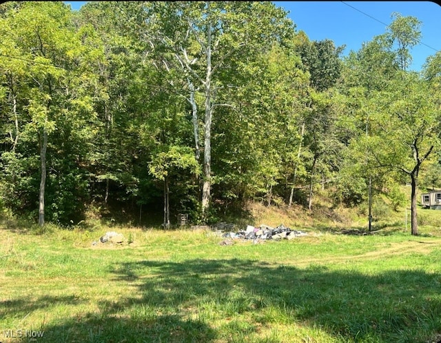 Listing photo 2 for Slate Run Rd, Belleville WV 26133